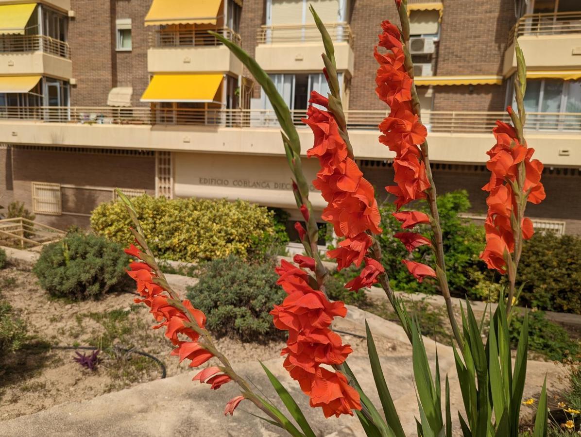 Apartamento Sol de Ponent, La Cala de Benidorm Exterior foto